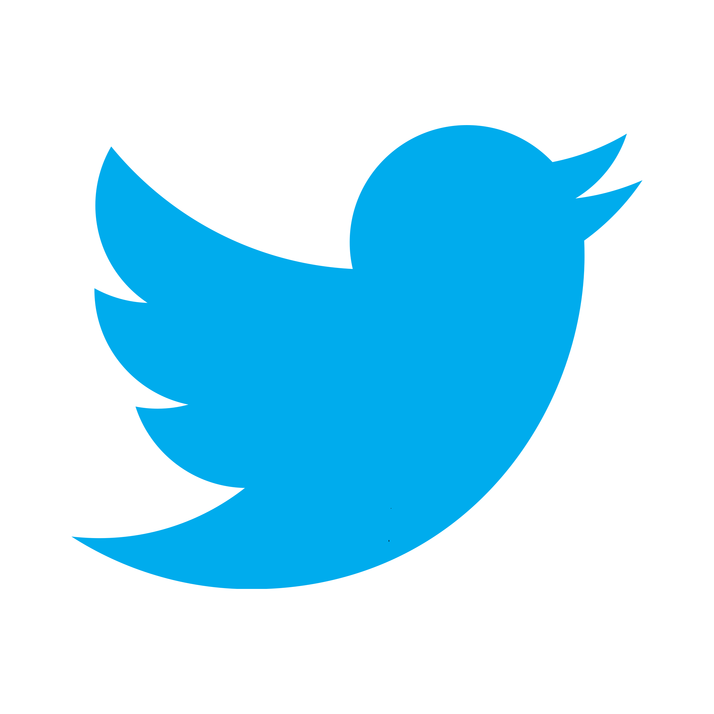 Twitter Logo